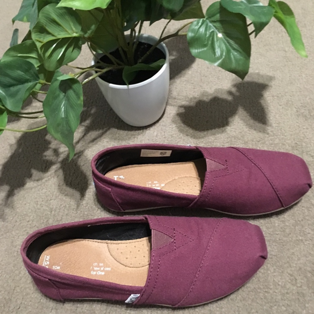 Burgundy Toms